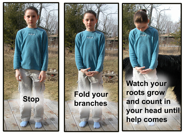 dog bite prevention be a tree presentation dog bite prevention be a tree presentation